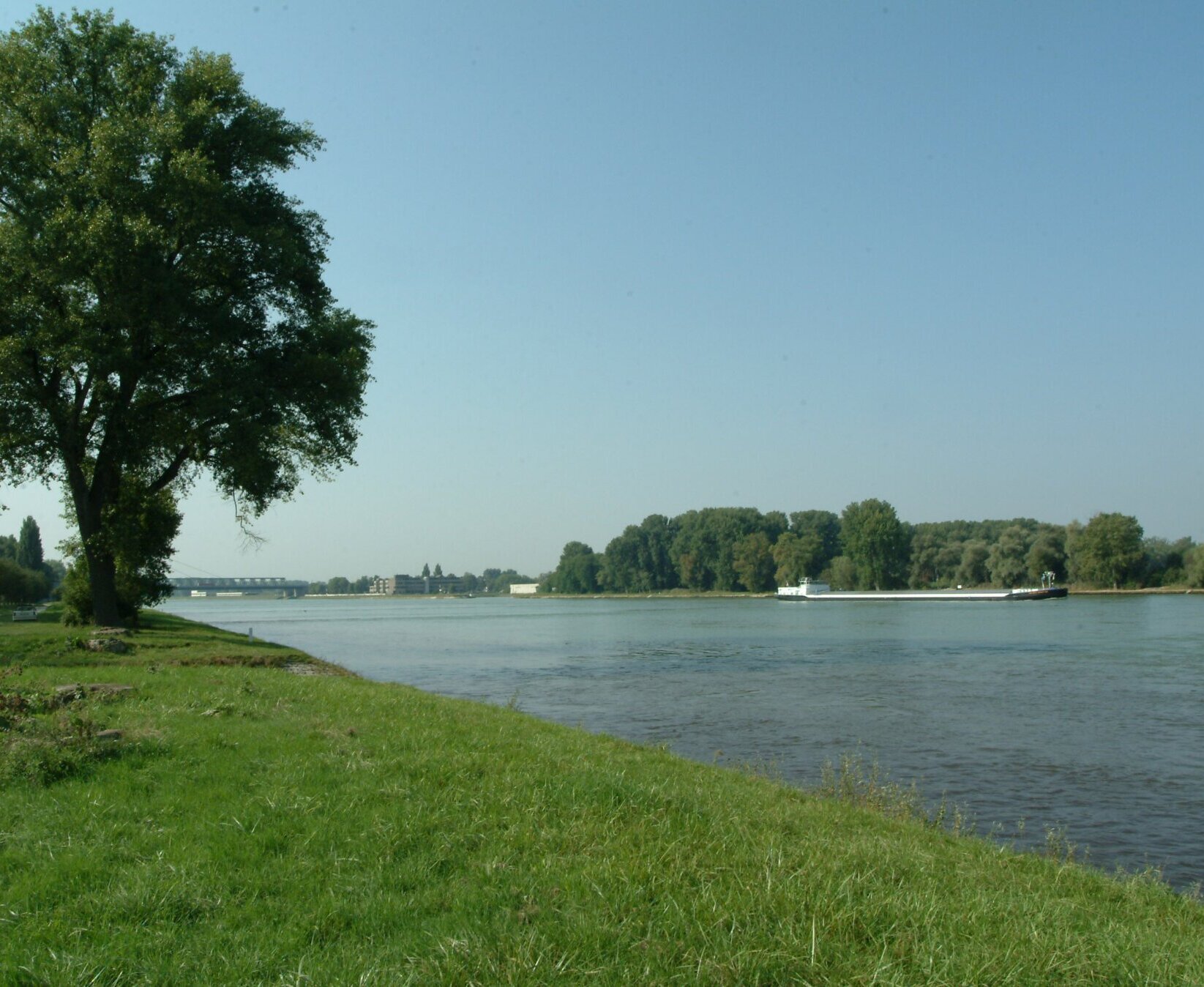 Rhein