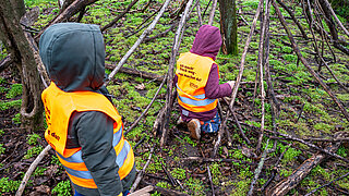Zwei Kinder sammeln im Wald Müll.