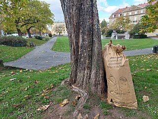 Zwei große gefüllte Papiersäcke sind an einen Baum angelehnt