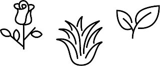 Zeichnung mit verschiedenen Pflanzen