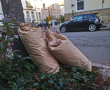 Blick auf Säcke mit Laub- und Gartenabfällen, die an einen Baum lehnen.