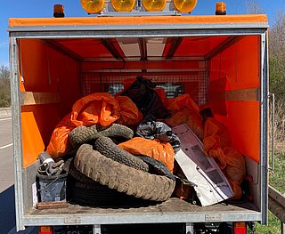 Forest Cleanup Day 22.03.2025