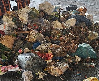 Ergebnisse Bioabfallsortieranalyse