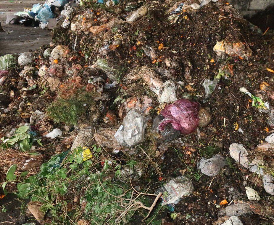 Exemplarischer Bioabfall