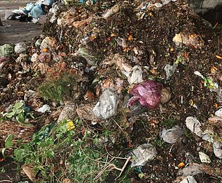 Exemplarischer Bioabfall